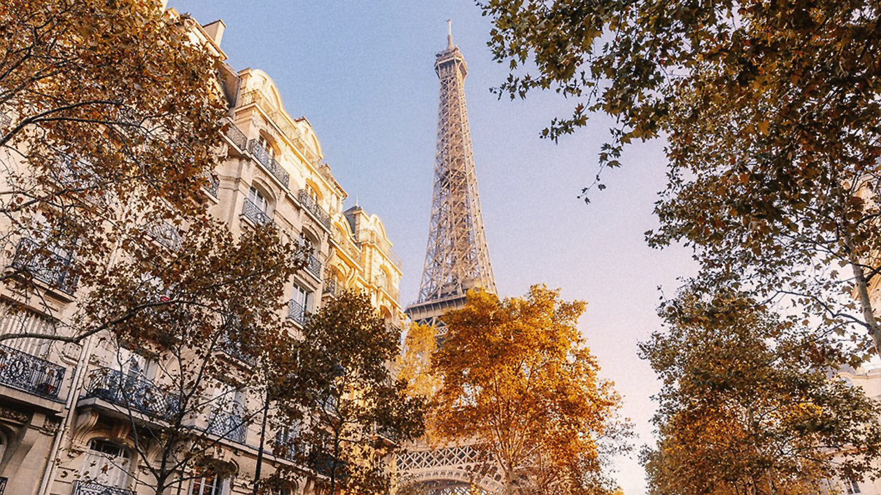 Париж стал самым привлекательным городом для туристов в 2023 году